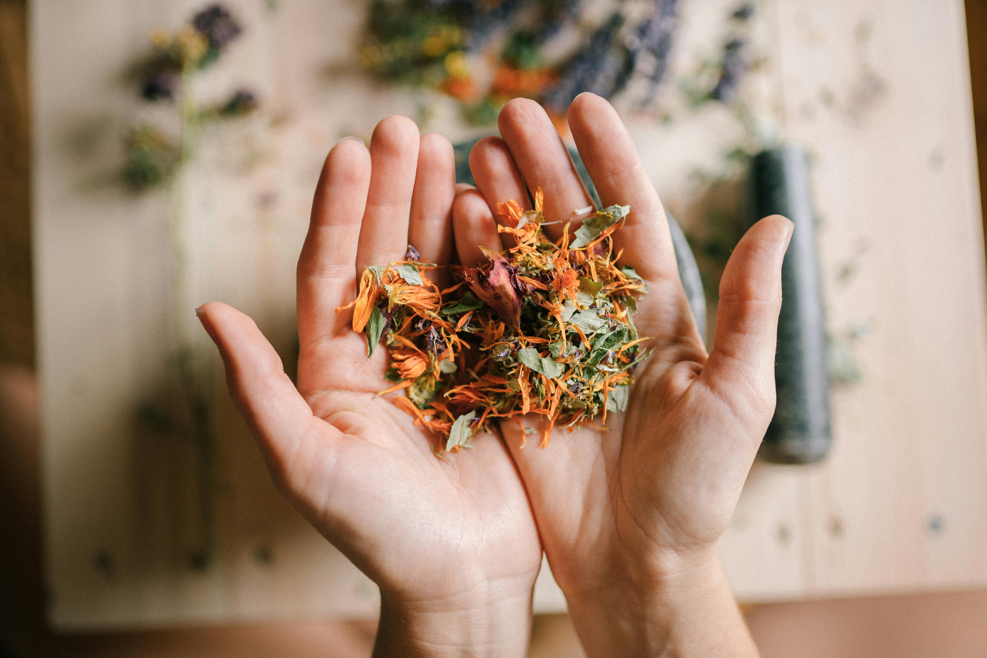 Hands together holding dried herbs.