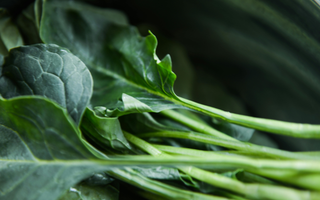 A bundle of vibrant green leafy veggies.