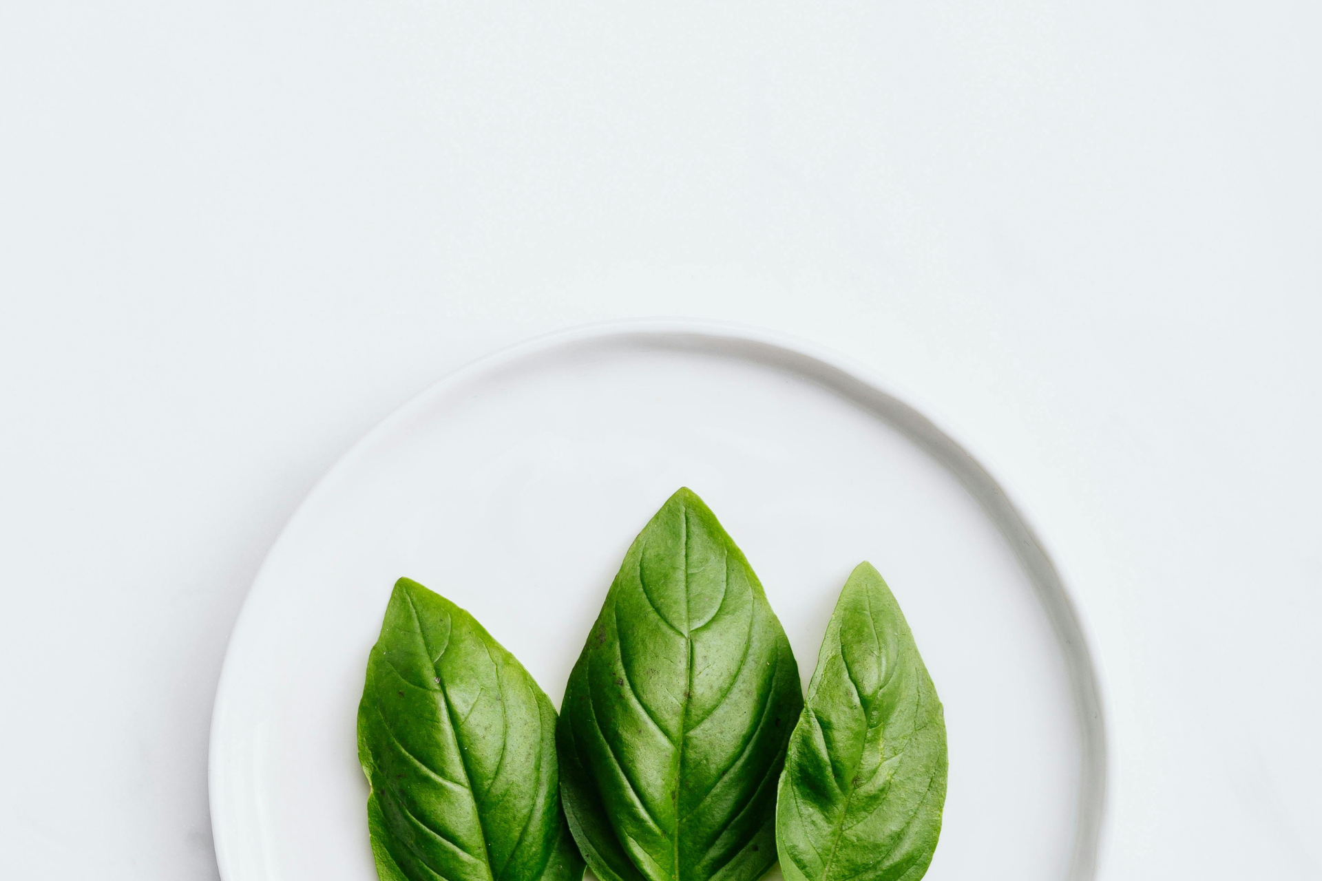 White Plate with Vibrant Green Basil