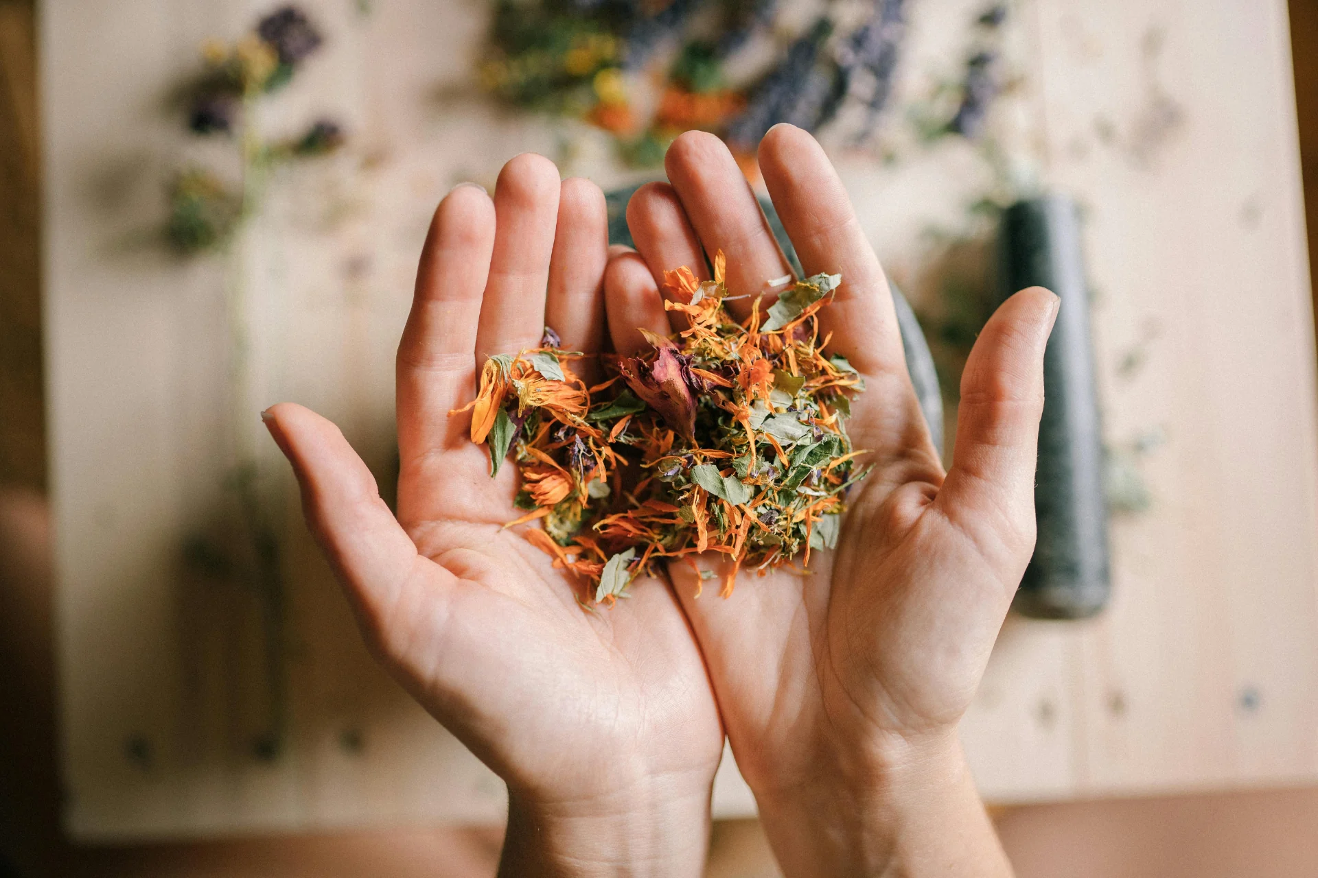 Adaptogens: How Can First Responders Benefit From Them?