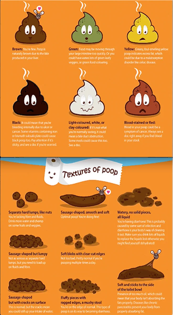 Chart showing the different types of bowel movements