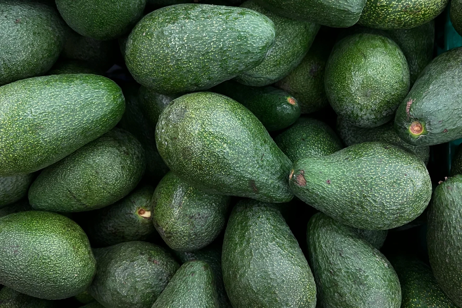 Clearing Up the Confusion About Fats